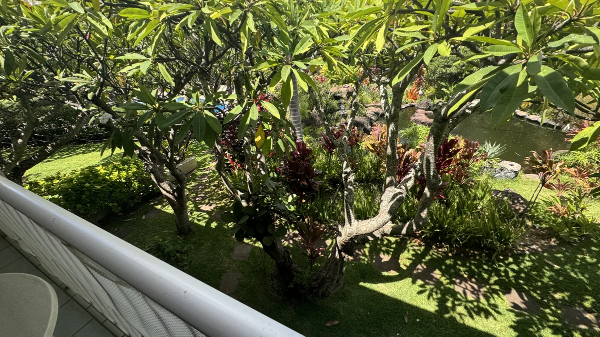 Napili Shores E237