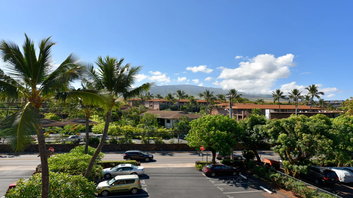 Kaleialoha 401