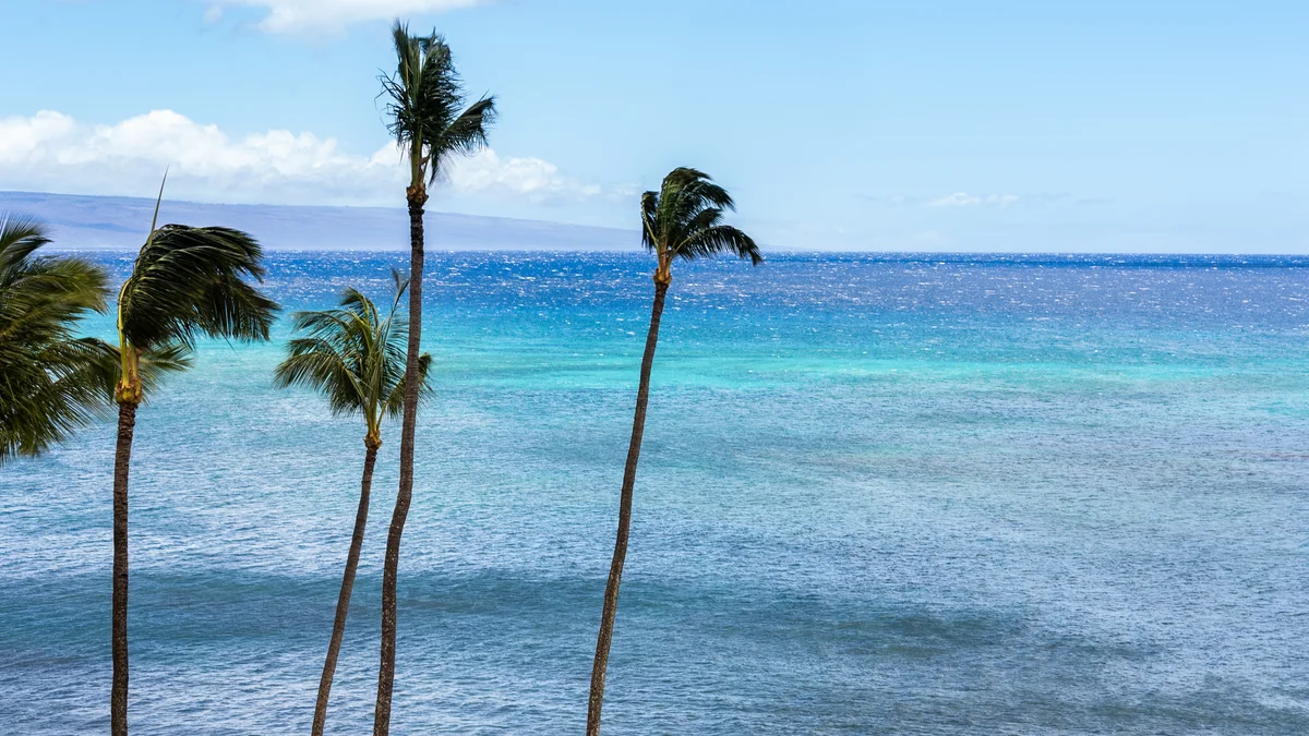 Royal Kahana 616