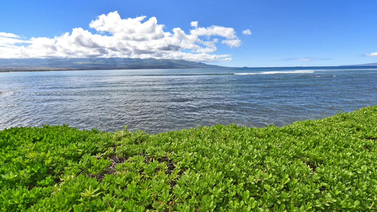 Island Sands 210