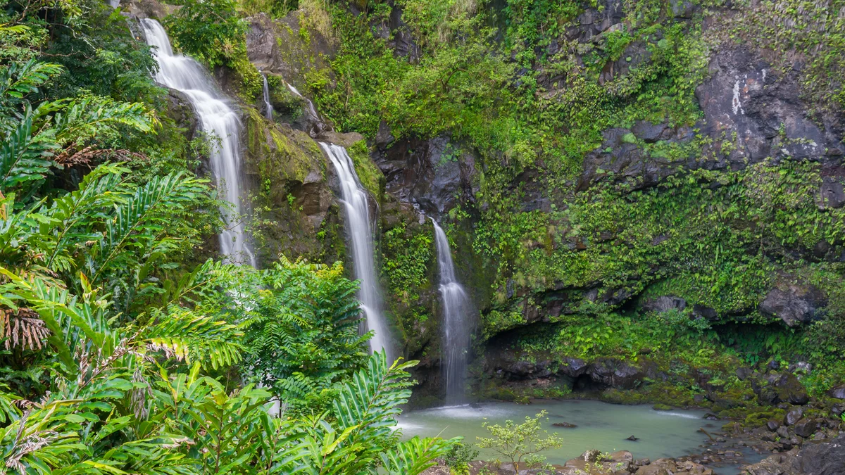Hale Ono Loa 104