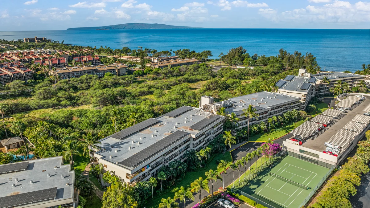 Maui Banyan H207
