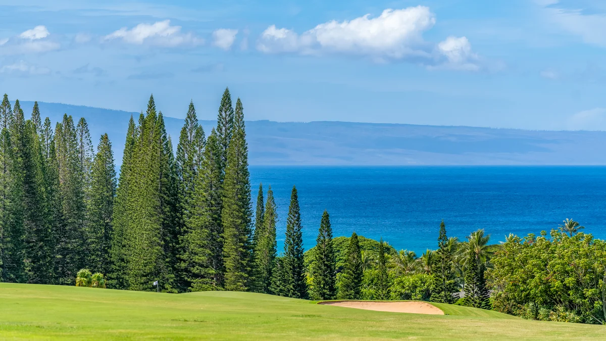 Kapalua Ridge Villas 1423