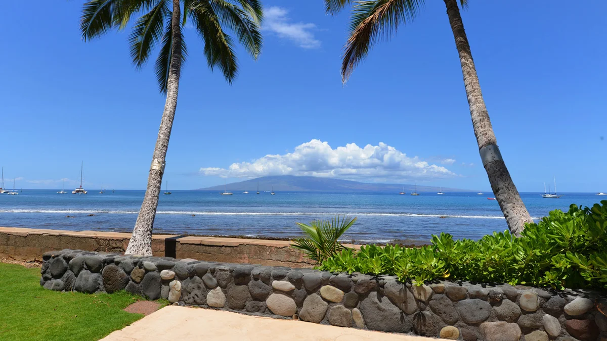 Lahaina Roads 209