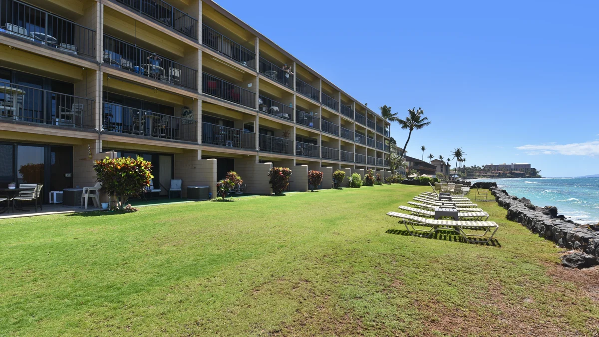 Kaleialoha 309