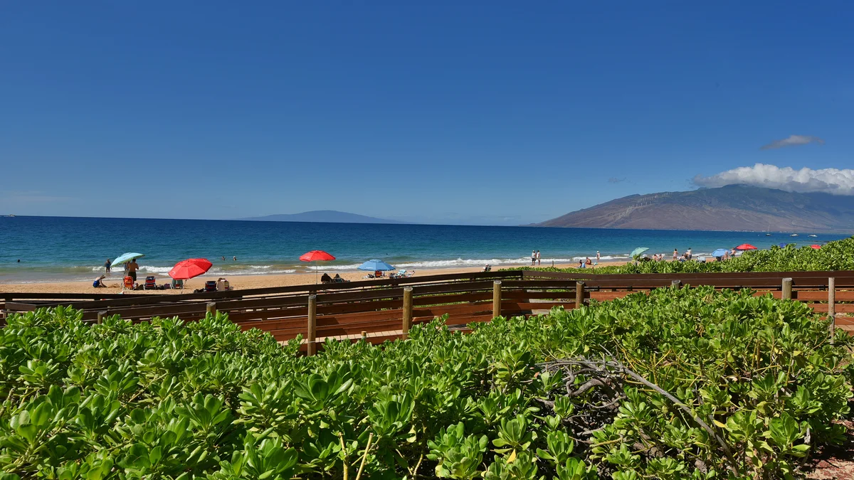 Kihei Akahi D402