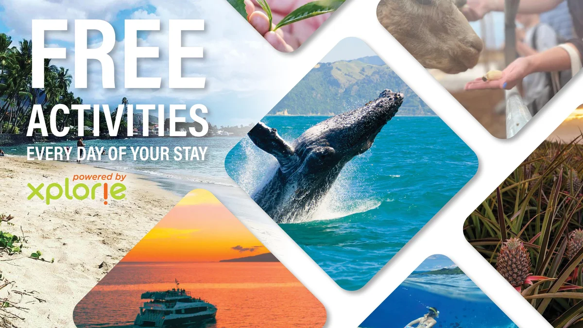 Maui Banyan H207