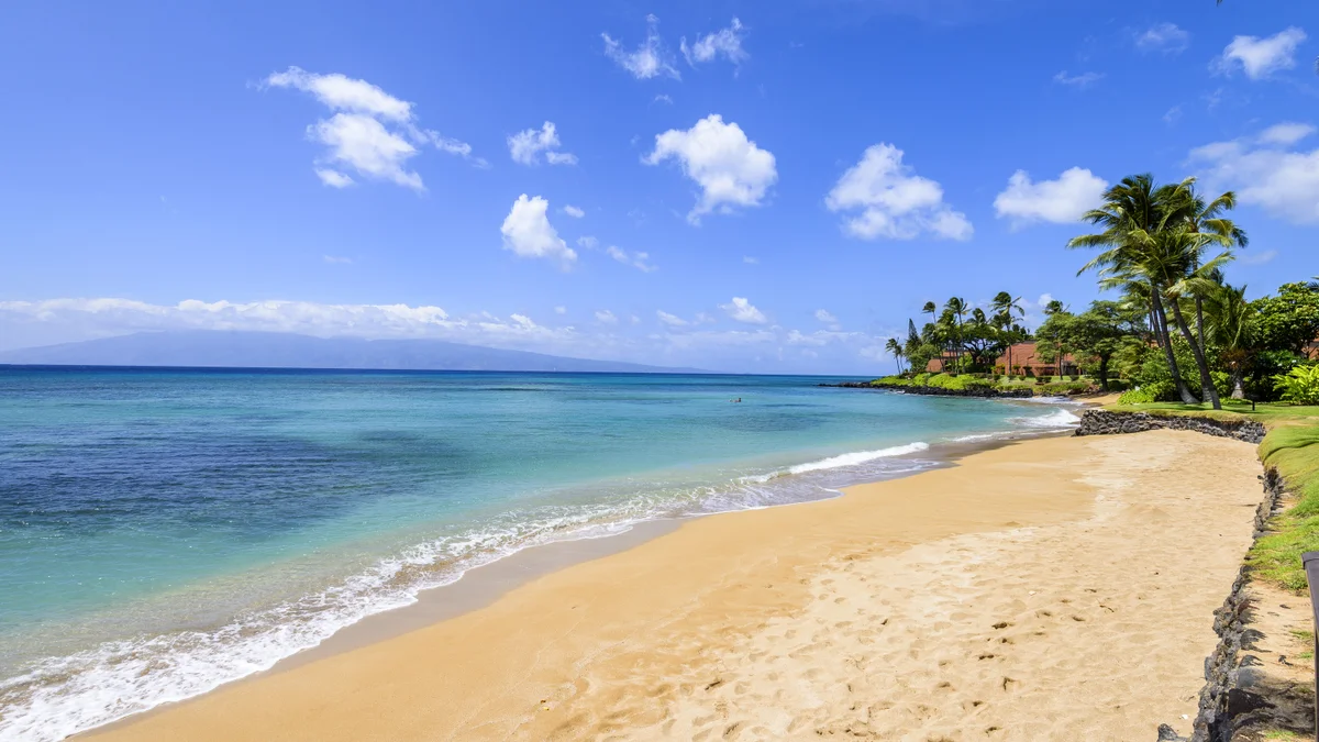 Hale Mahina B401