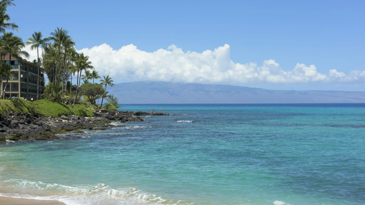 .Kahana Manor 205