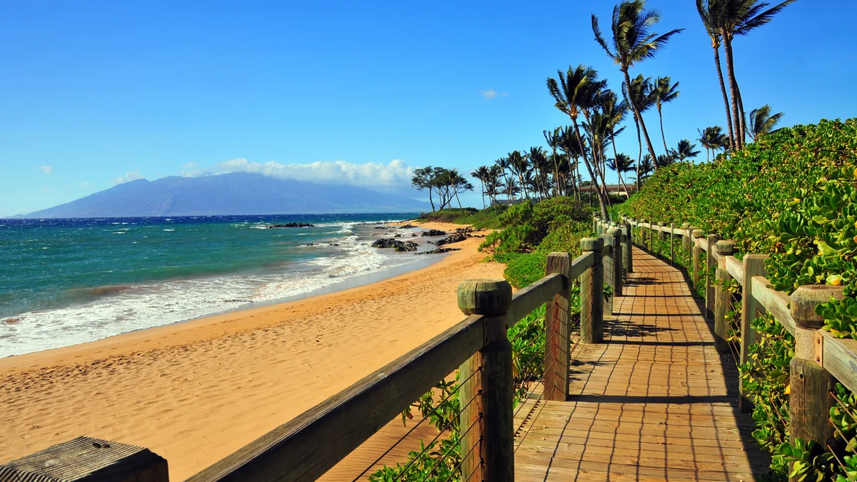 Kihei Akahi D402