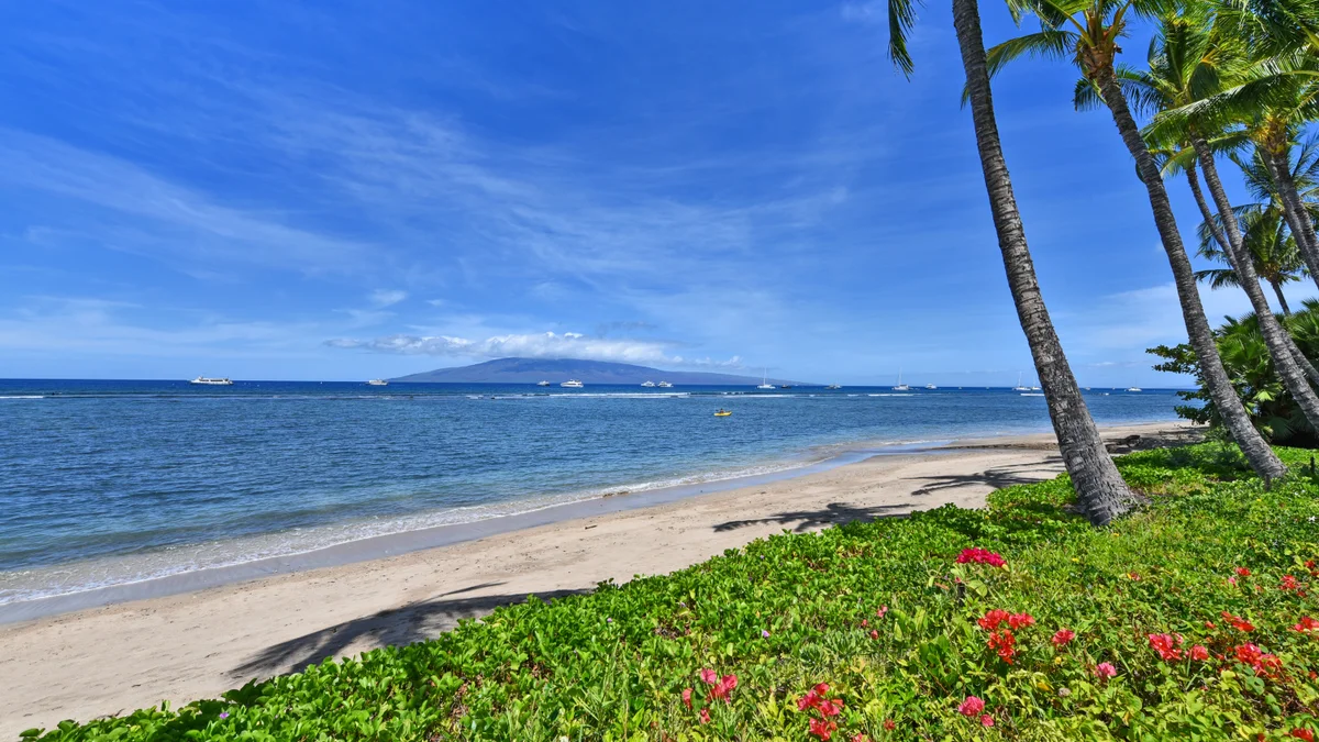 Lahaina Shores PH5