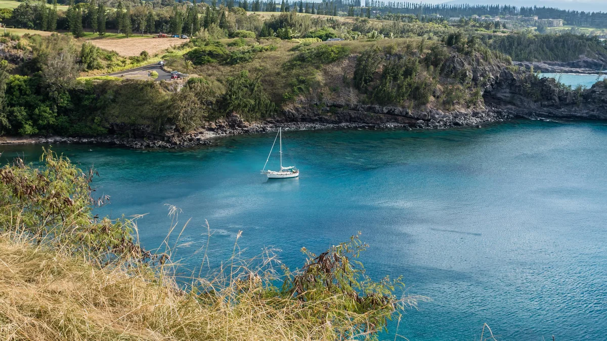 .Kuleana 310