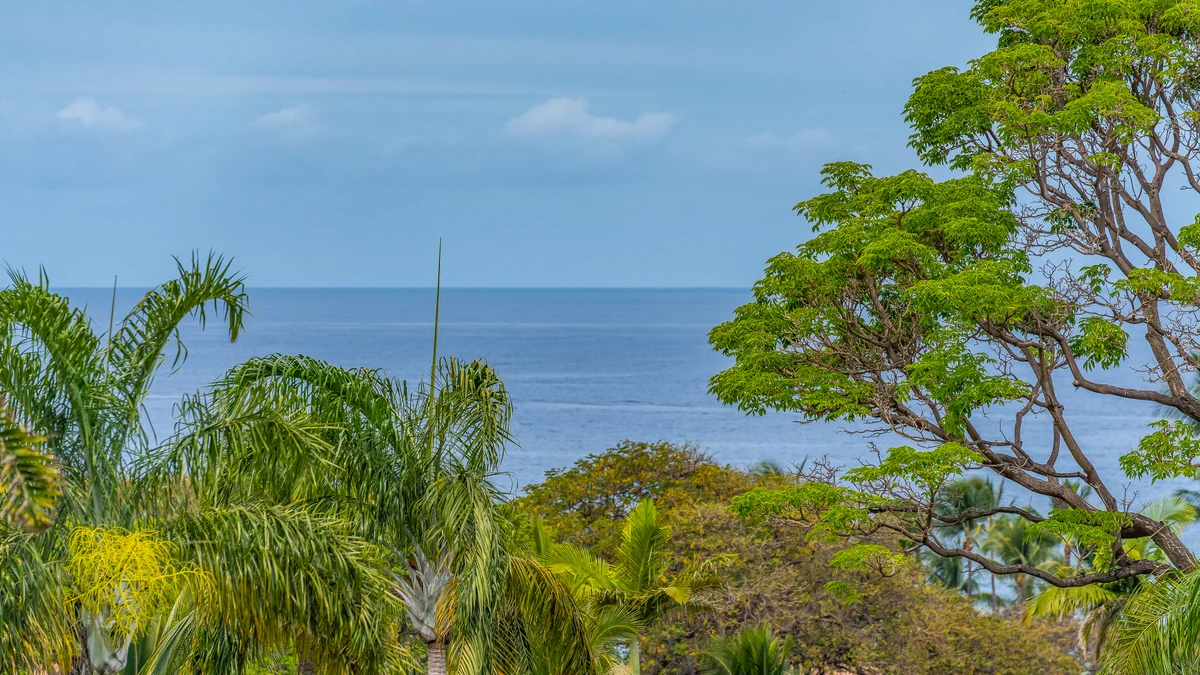Palms at Wailea 1306