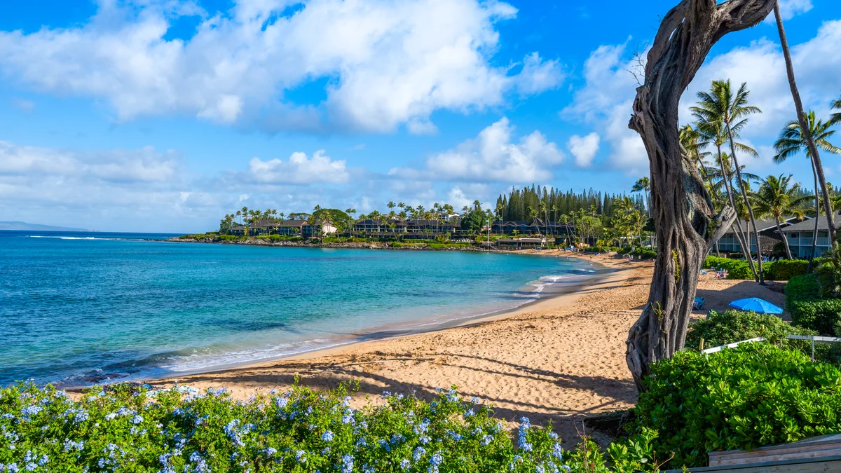 Napili Surf 209
