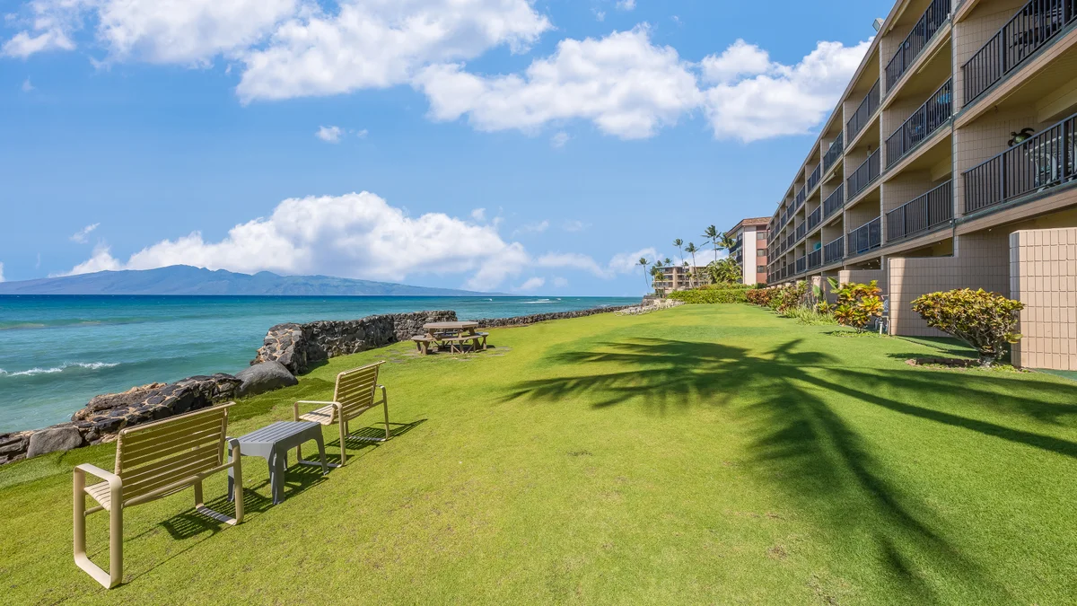 Kaleialoha 211