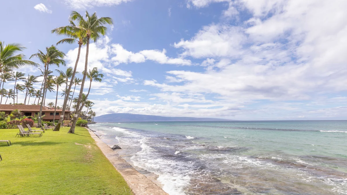 Paki Maui 207
