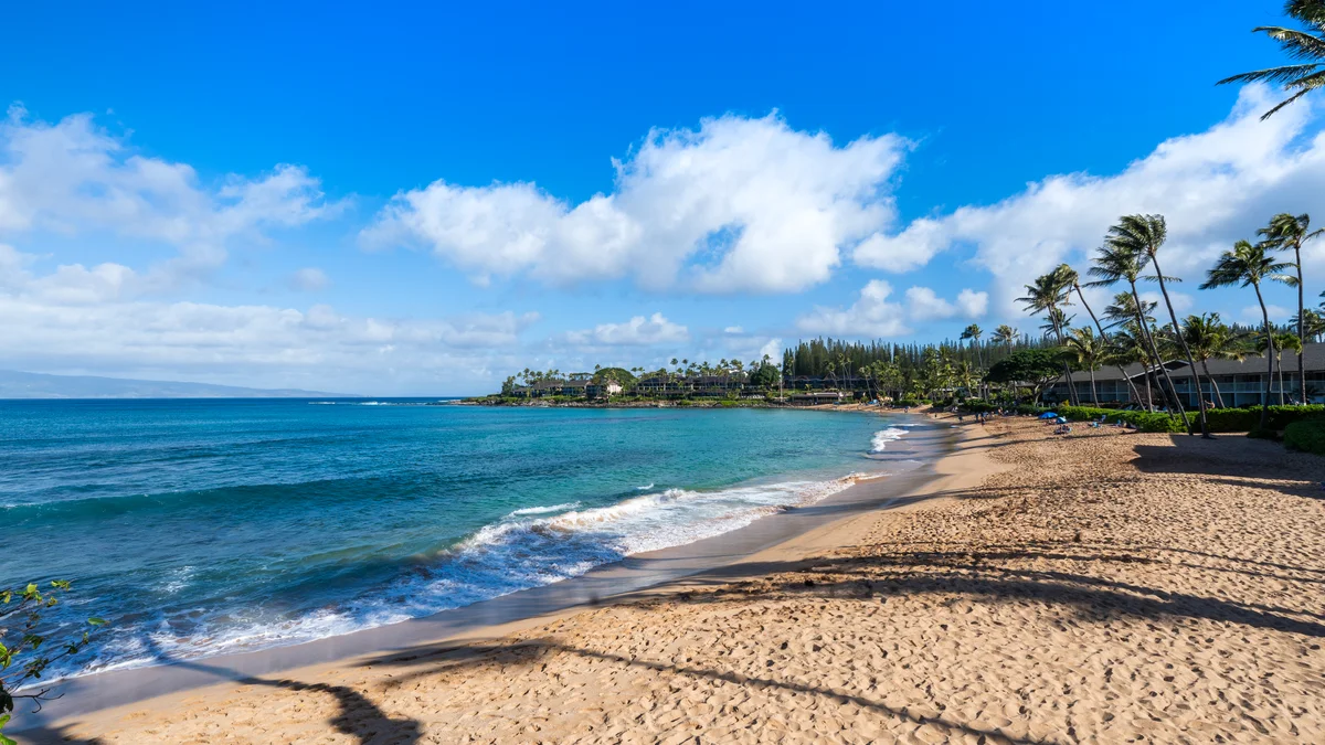 Napili Surf 209