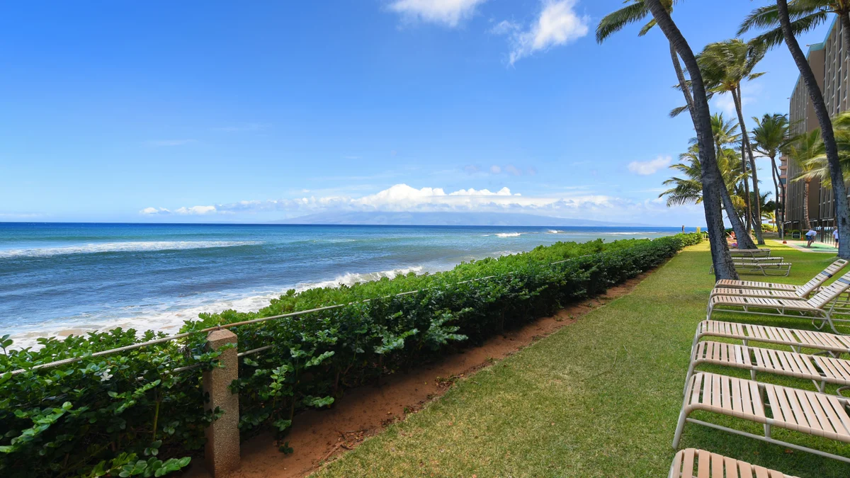Mahana 1113