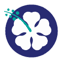 Island culture icon
