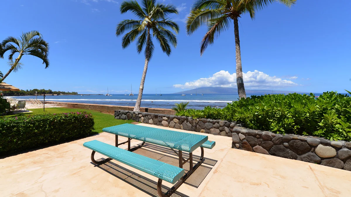Lahaina Roads 209