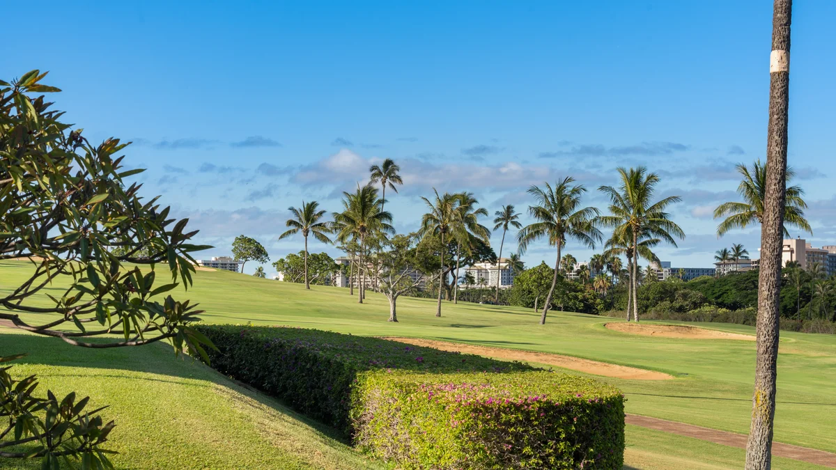 Eldorado G205