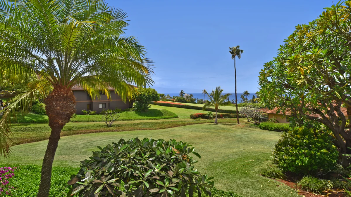Kaanapali Plantation 25