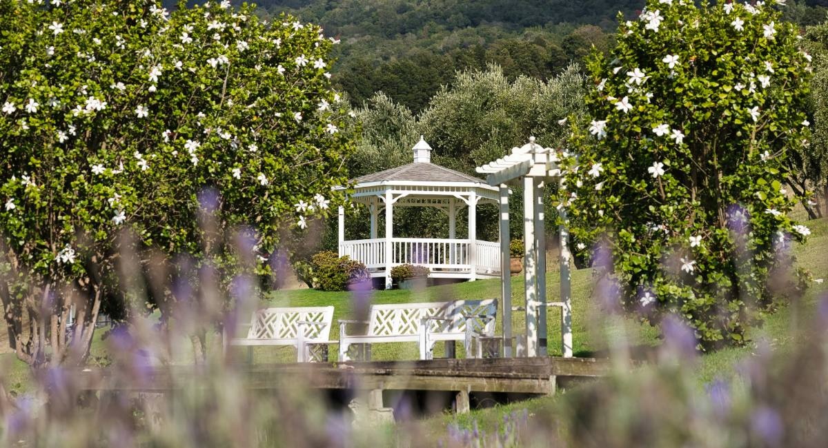 White garden gazebo surrounded by lavender and flowering plants at Aliʻi Kula Lavender Farm in Kula, Upcountry Maui