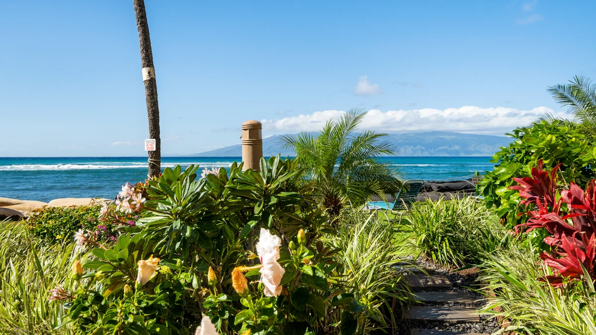 Royal Kahana 909