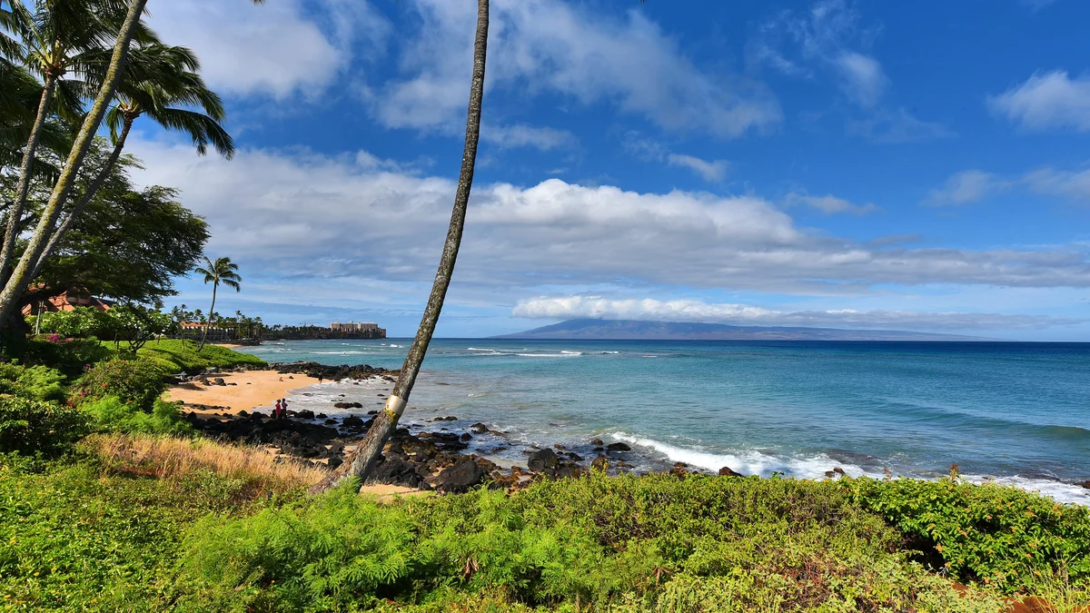 Polynesian Shores 111
