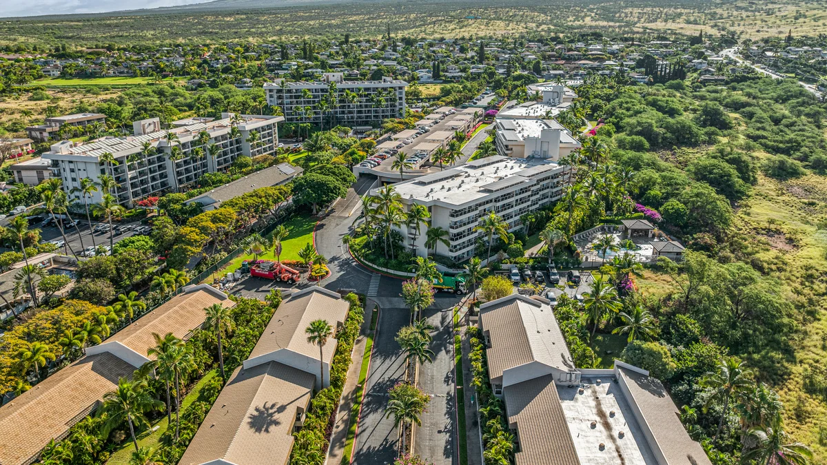 Maui Banyan H207