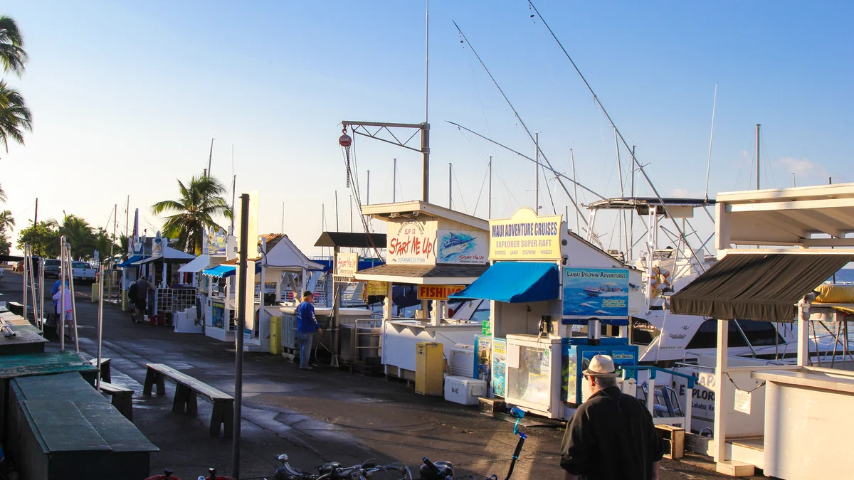Lahaina Roads 209