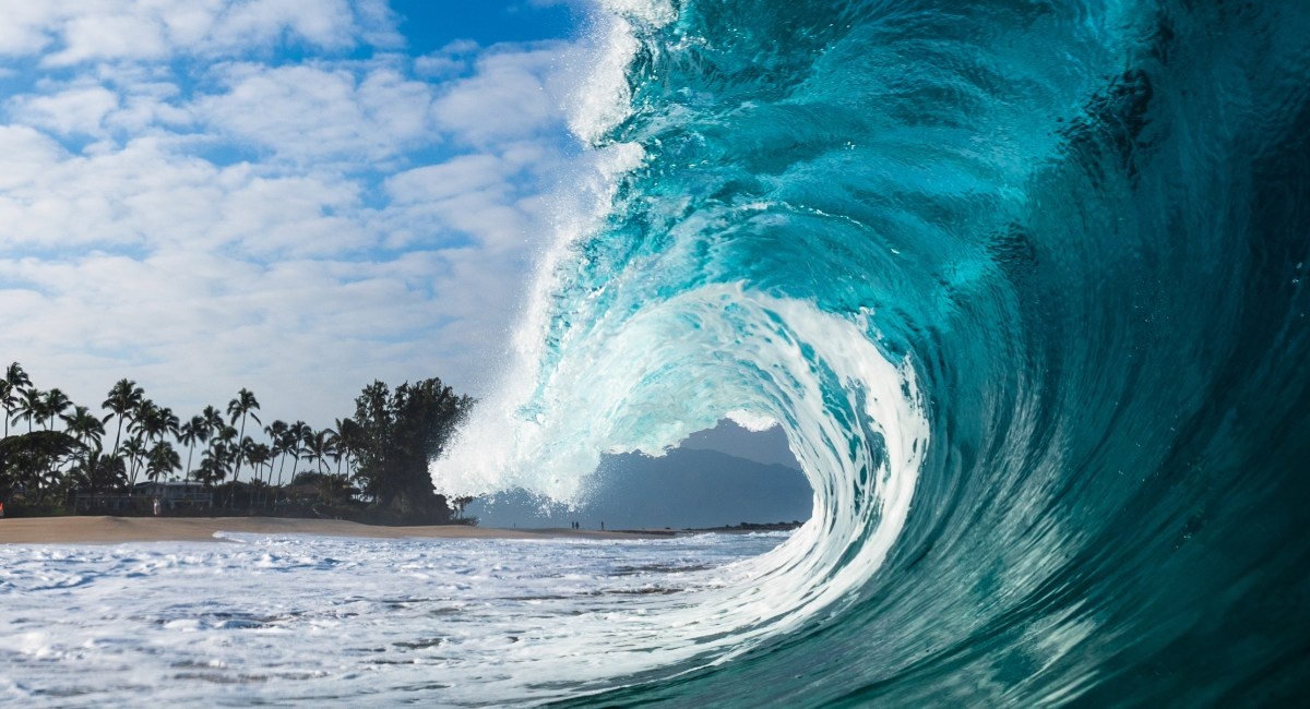 Surfing on Maui: Your Complete Guide to Hawaiʻi’s Premier Wave-Riding Paradise