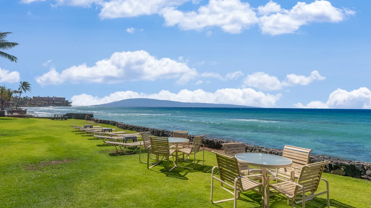 Kaleialoha 211