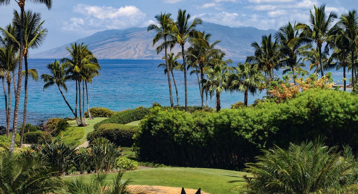 Best Time to Visit Maui: A Month-by-Month Guide