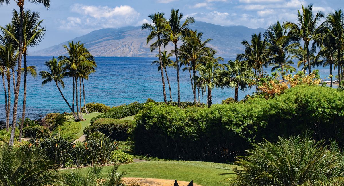Best time to visit Maui
