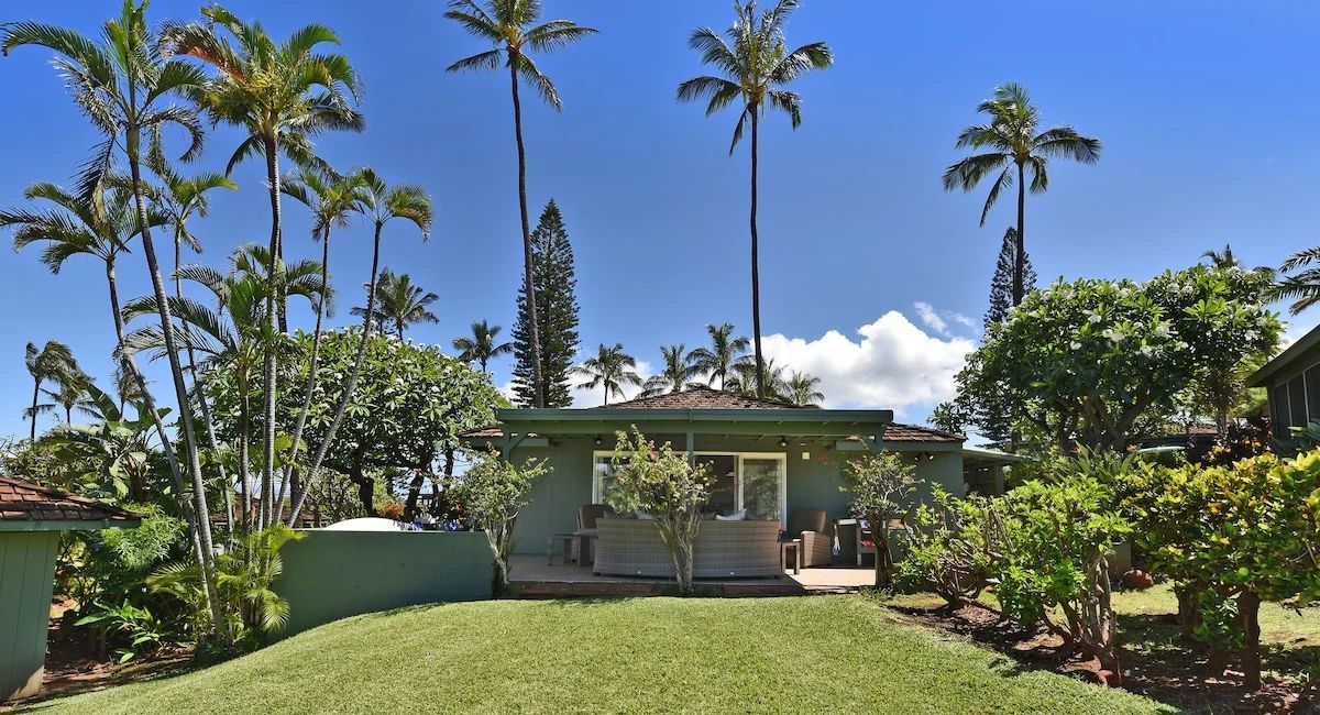 International Colony Club 20, by lush greenery and tall palm trees under a clear blue sky. The serene, tropical setting conveys a sense of calm and relaxation.