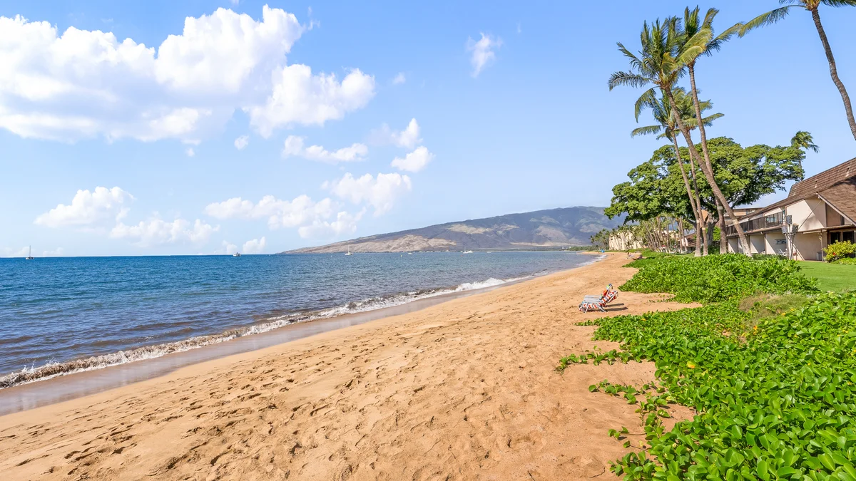 Maalaea Surf A6