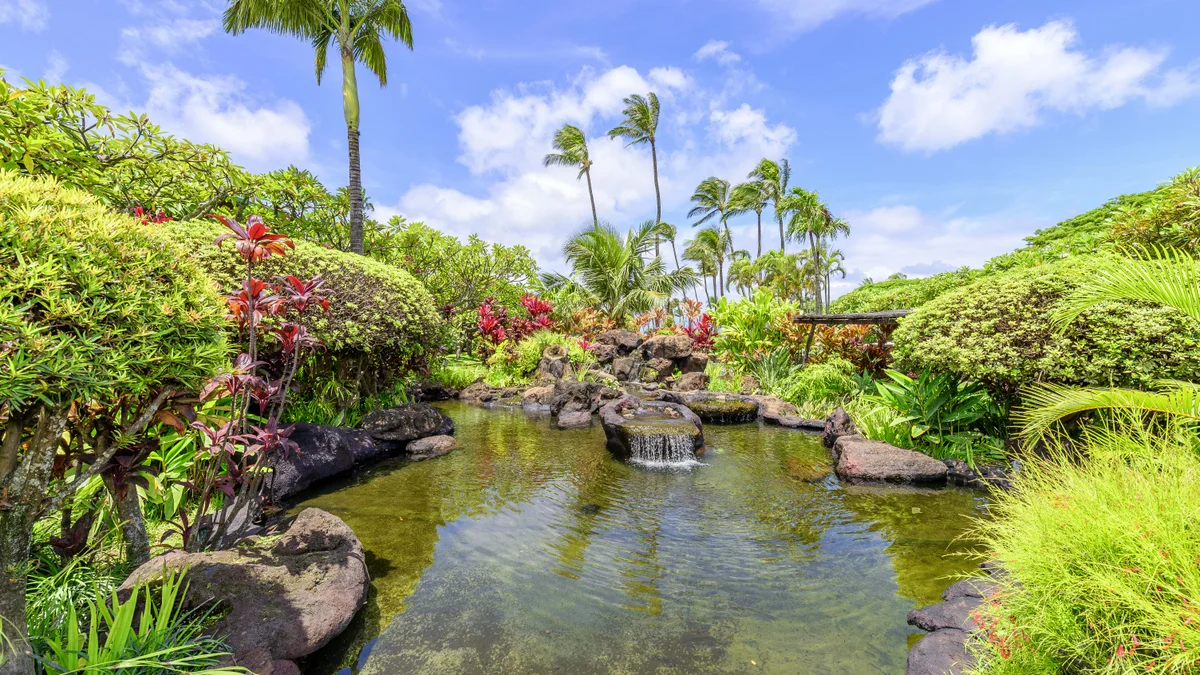 Napili Shores D227