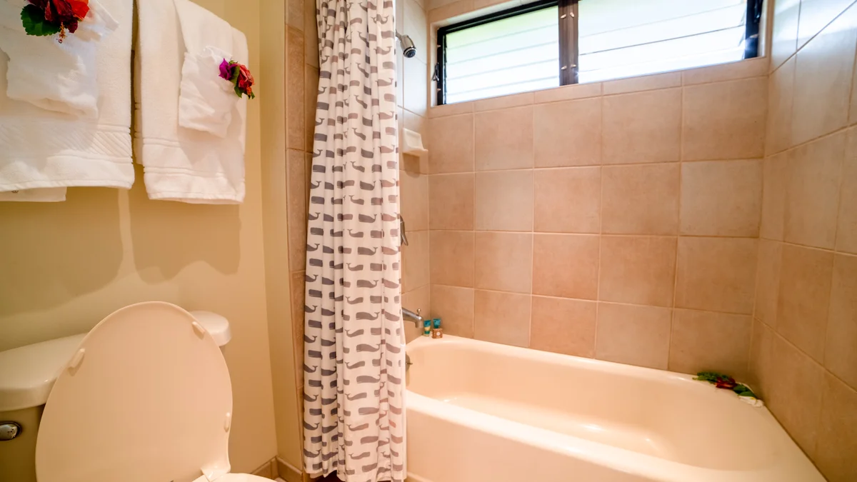 Wailea Ekahi 17D