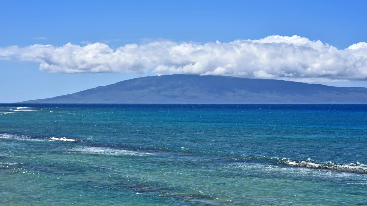 Kaleialoha 309