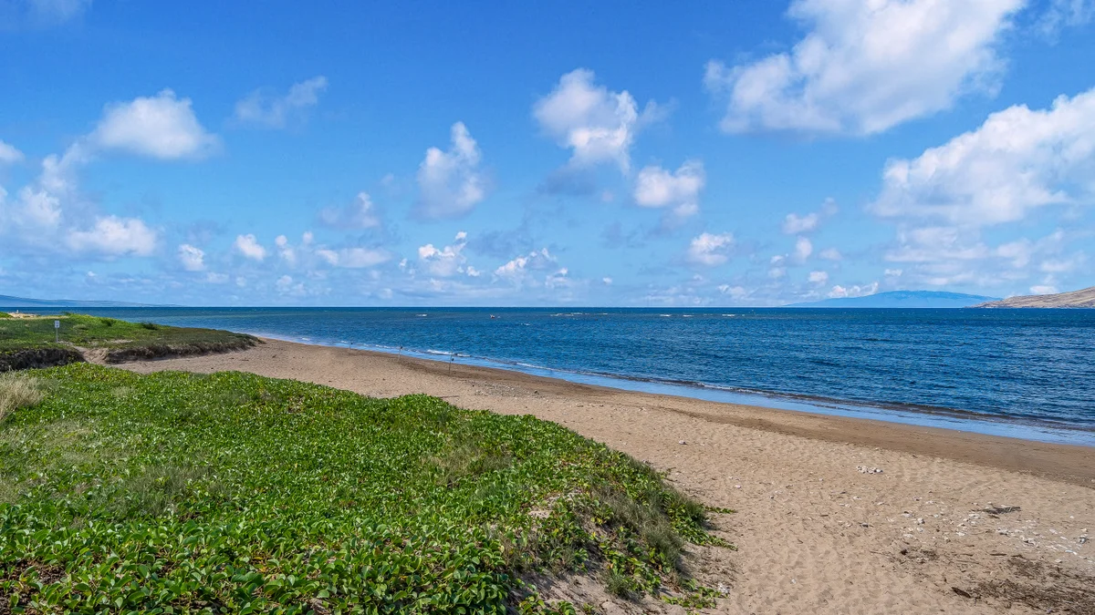 Koa Resort 3J