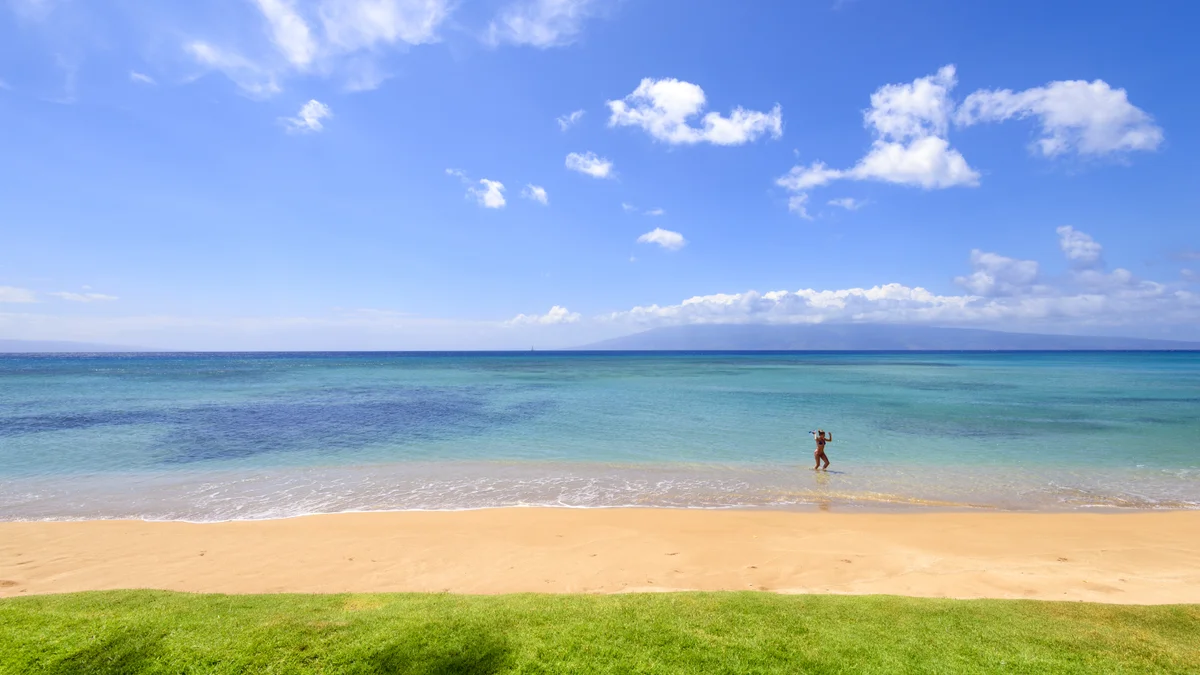 Hale Mahina B401