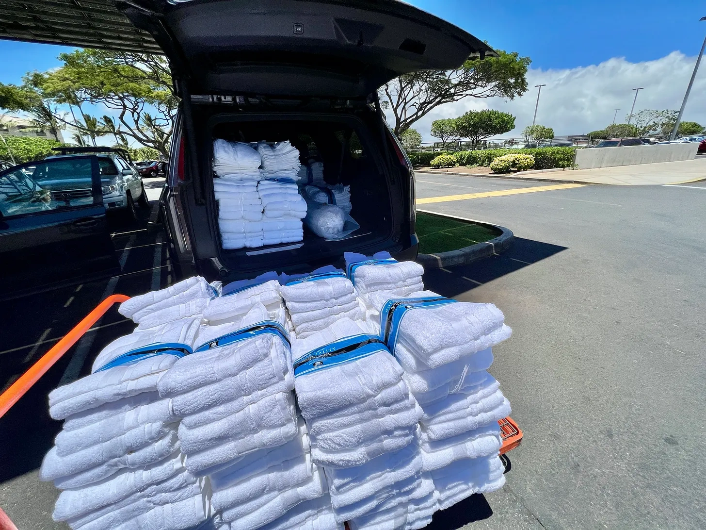 Costco Towels