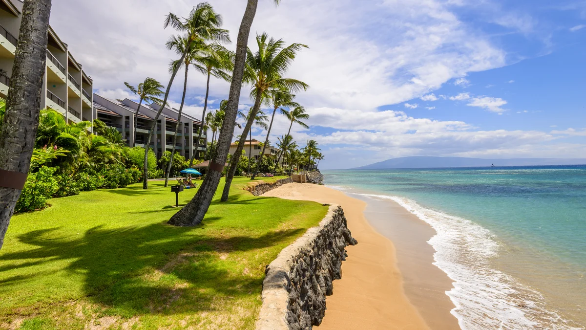 Hale Mahina B401
