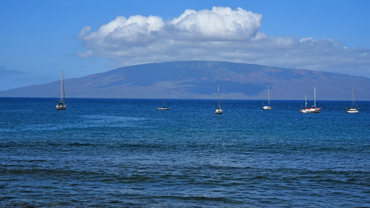 Lahaina Roads 209