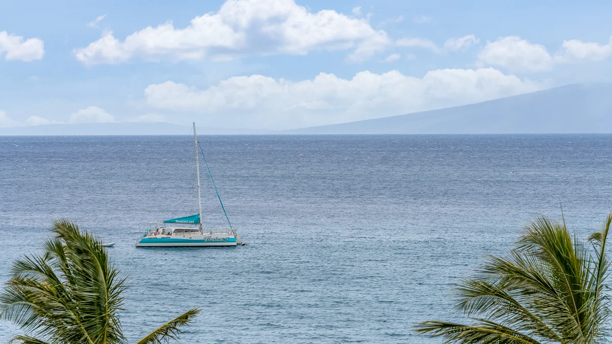 Whaler 712