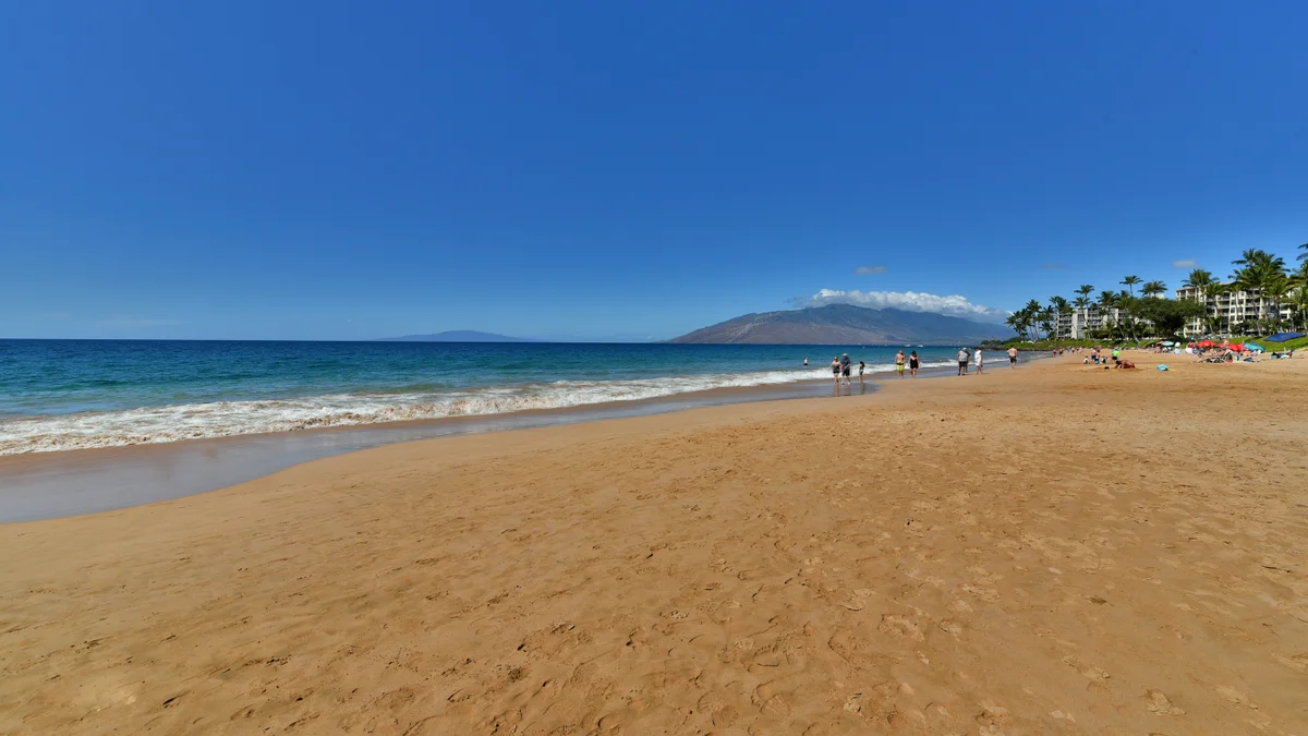 Kihei Akahi D402