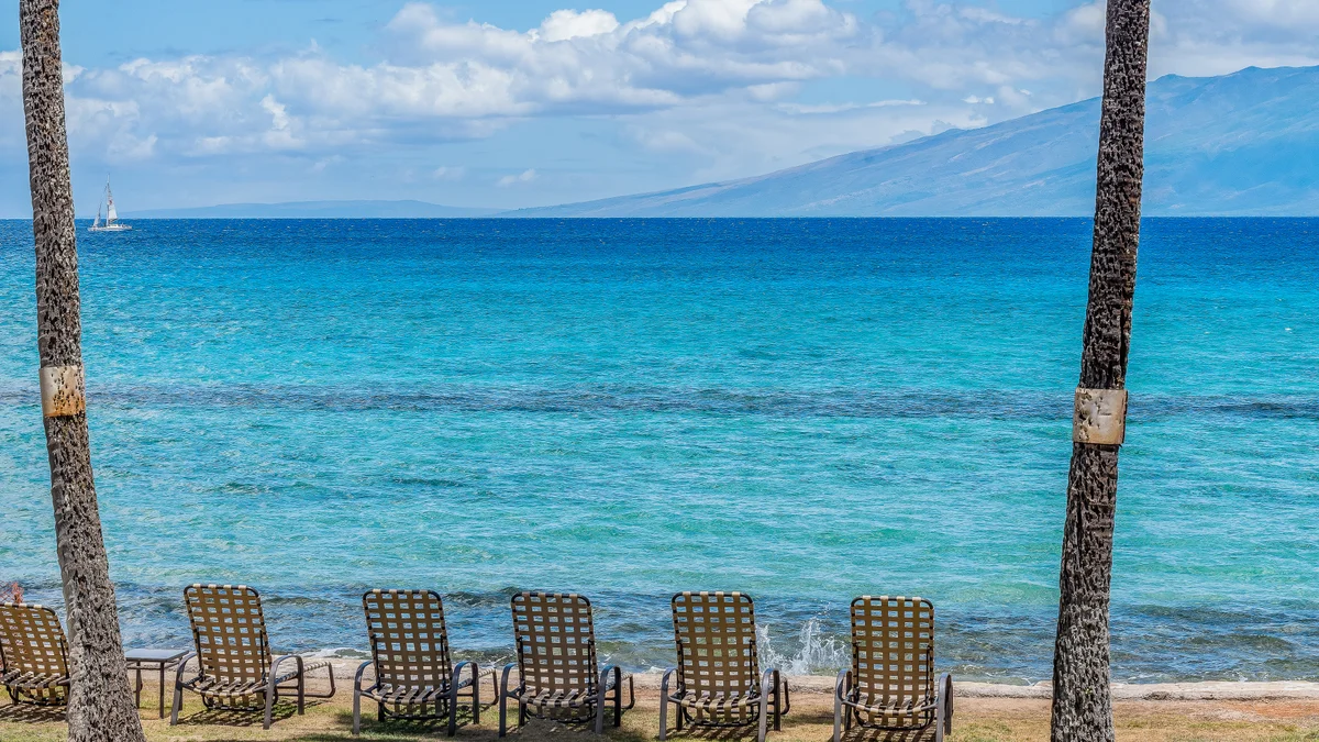 Paki Maui 301