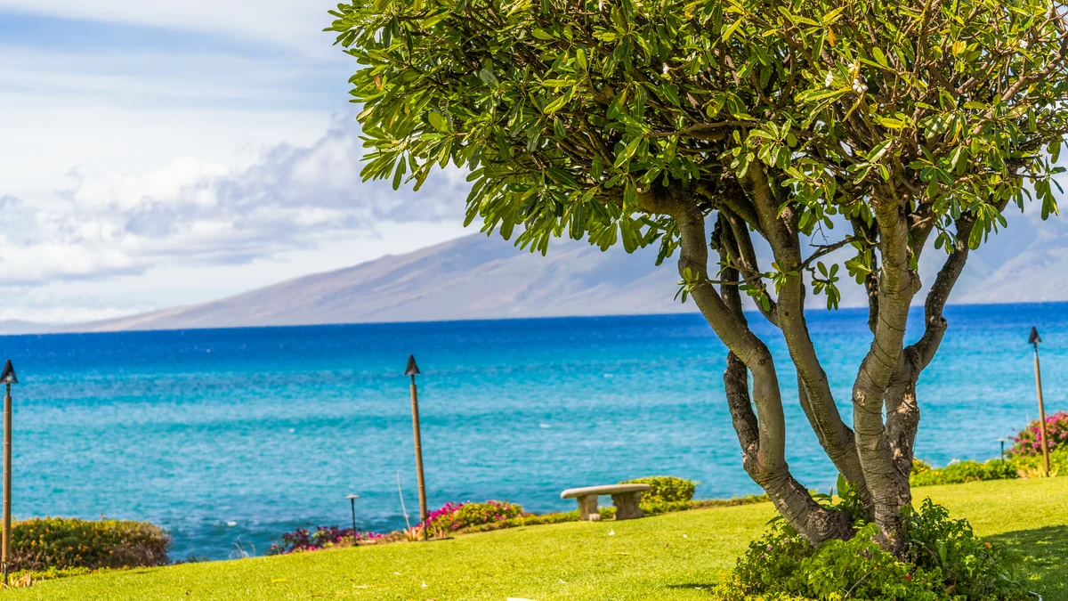 Polynesian Shores 111