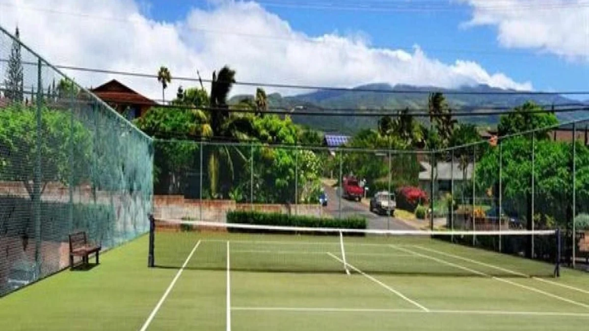 Kuleana 321